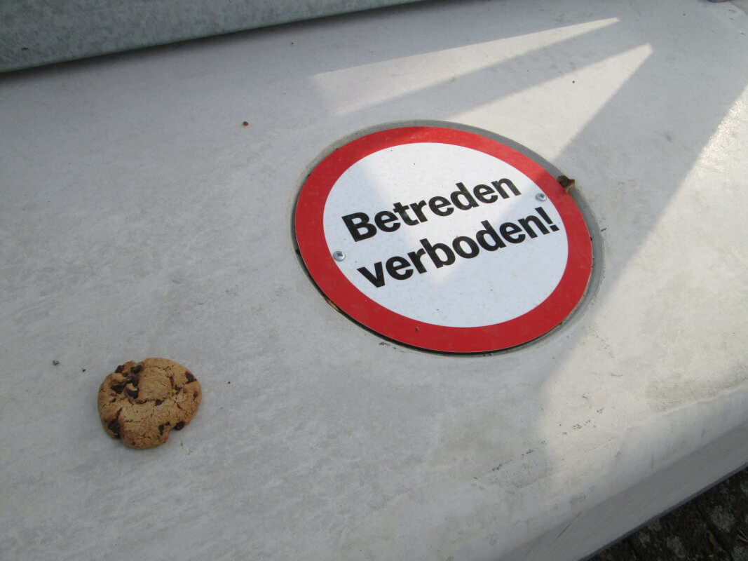 Cookie-crisisdagboek (1)