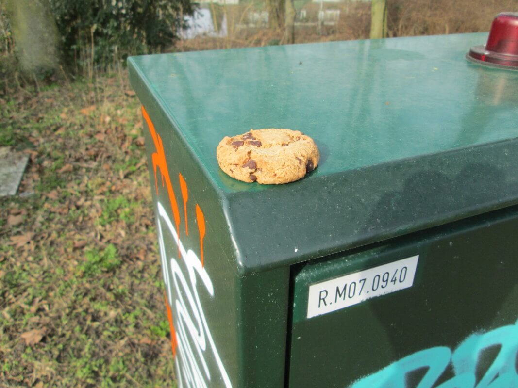 Cookie-crisisdagboek (2)