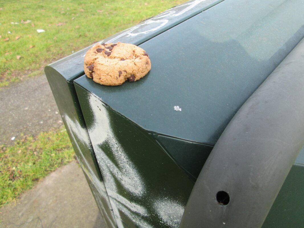 Cookie-crisisdagboek (3)