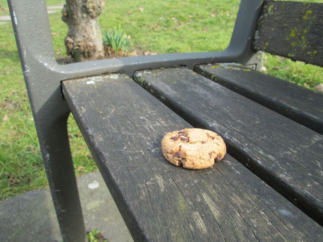 Cookie-crisisdagboek (4)