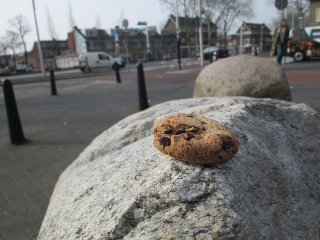 Cookie-crisisdagboek (5)