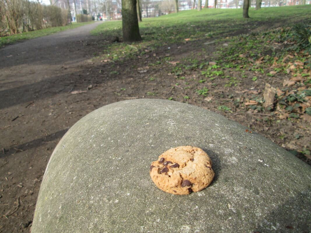 Cookie-crisisdagboek (8-slot)