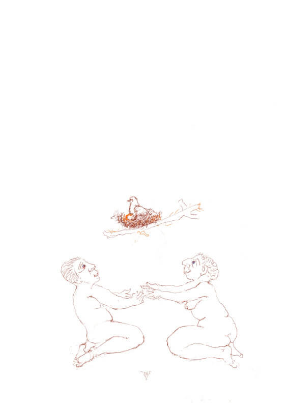 Illustratie Theo van de Vathorst