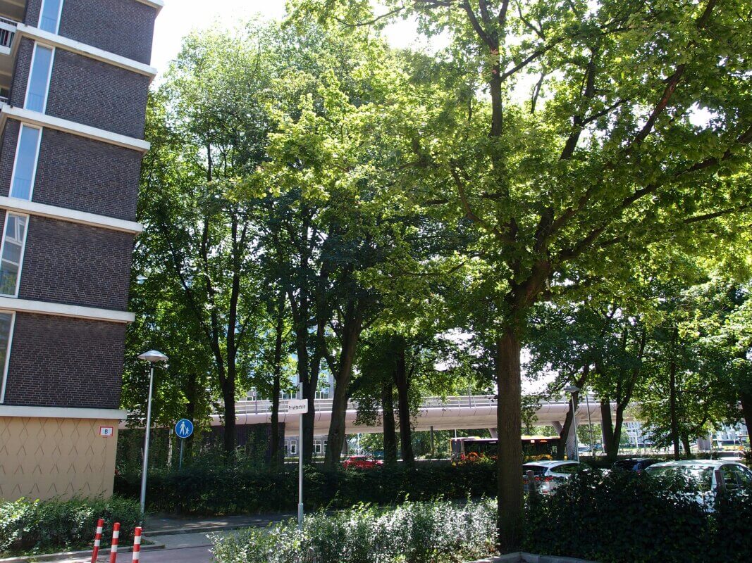 Pal naast de bestaande bouw aan het Rachmaninoffplantsoen zou op de parkeerplaats een nieuw appartementencomplex moeten worden gerealiseerd. Foto: Louis Engelman