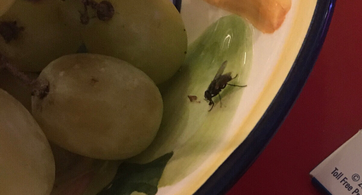 Hendriena op de fruitschaal. Foto: Dik Binnendijk