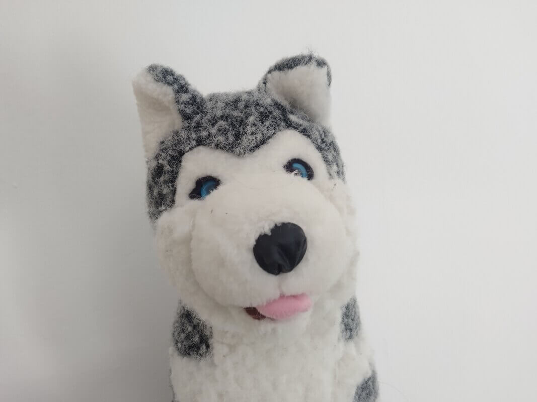 Taams - De Boze Wolf