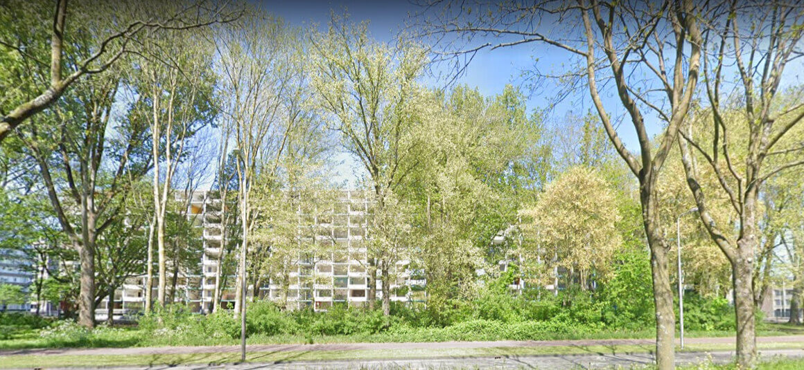 De bomenwand tussen de Ivoordreef en de Einsteindreef