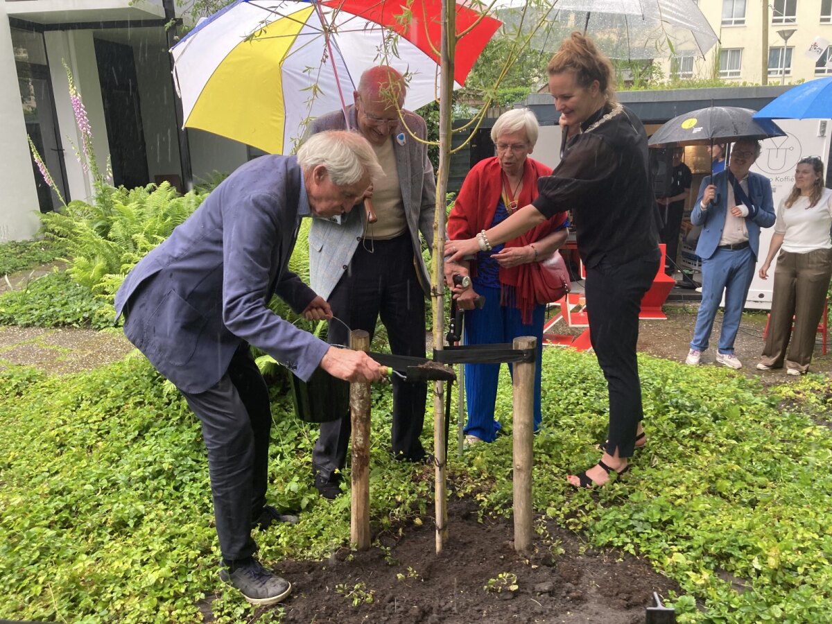 Kleinkinderen van Truus Schröder planten, met hulp van wethouder Streefland, een wilg in de tuin van het Rietveld Schröderhuis. Foto: Jeroen Wielaert