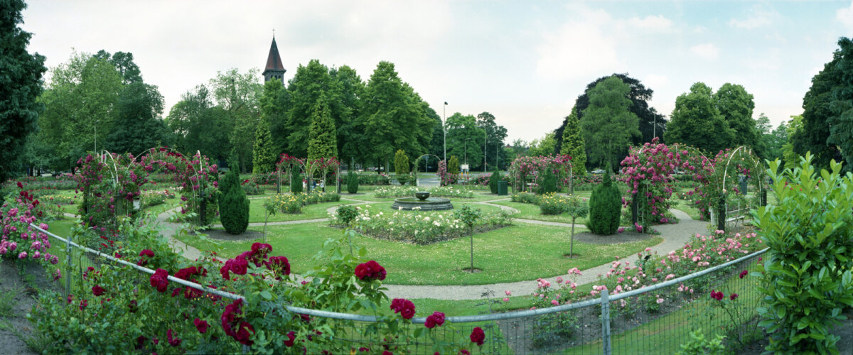 Het Rosarium in 1994. Foto: Het Utrechts Archief