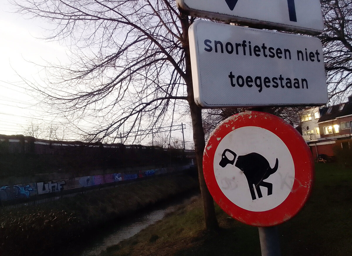 Taams - Zwerfhondjes (12)