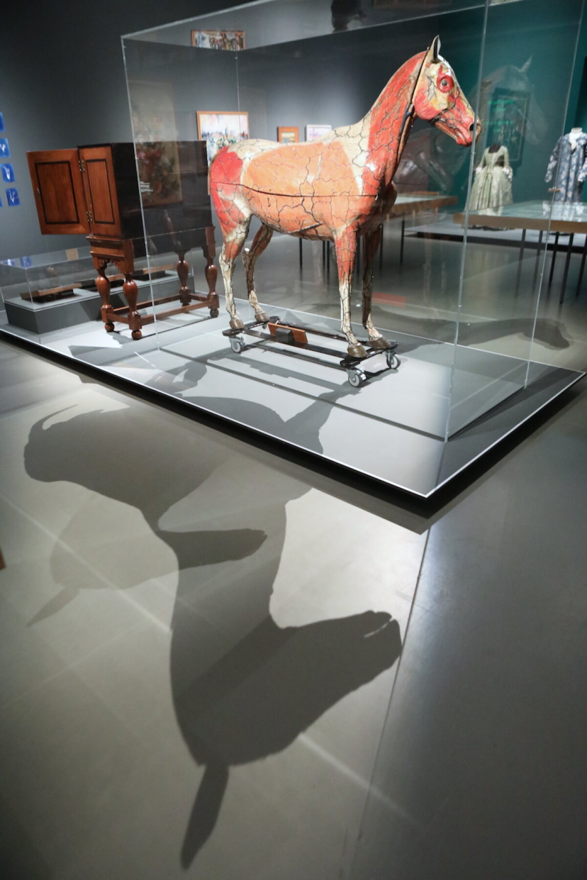 Anatomie van het paard door Louis Auzoux in 1897. Coll. Universiteitsmuseum Utrecht