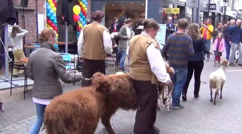 Diverse beesten op weg naar het Museum Speelklok. Foto: B. Hendriks