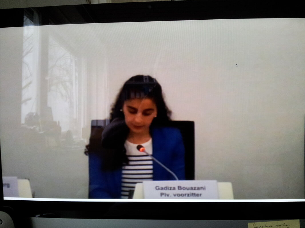 Beeld van de livestream van de gemeenteraad. Foto: Nieuws030