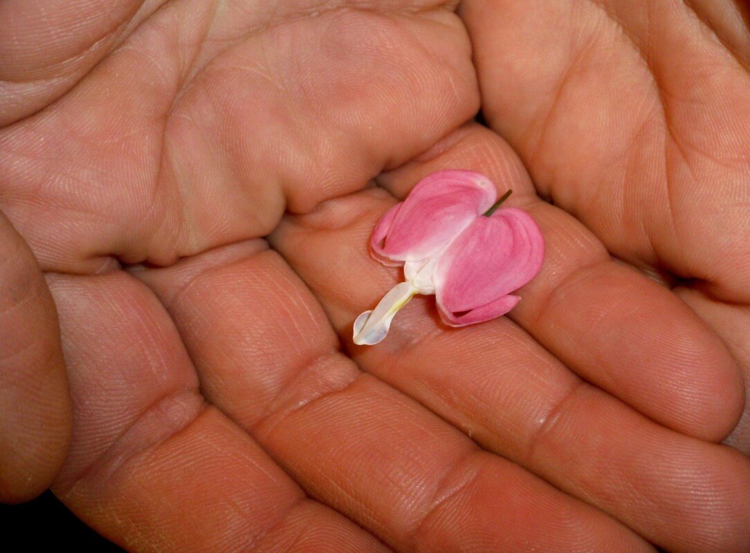 Valentijnsgevoel. Foto. J. Durham