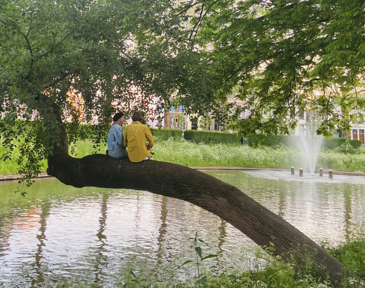 Juni 2021: de esdoorn in een idyllisch beeld. Foto: JT