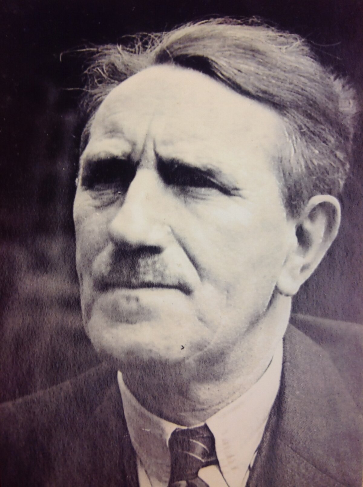 Jan Kok