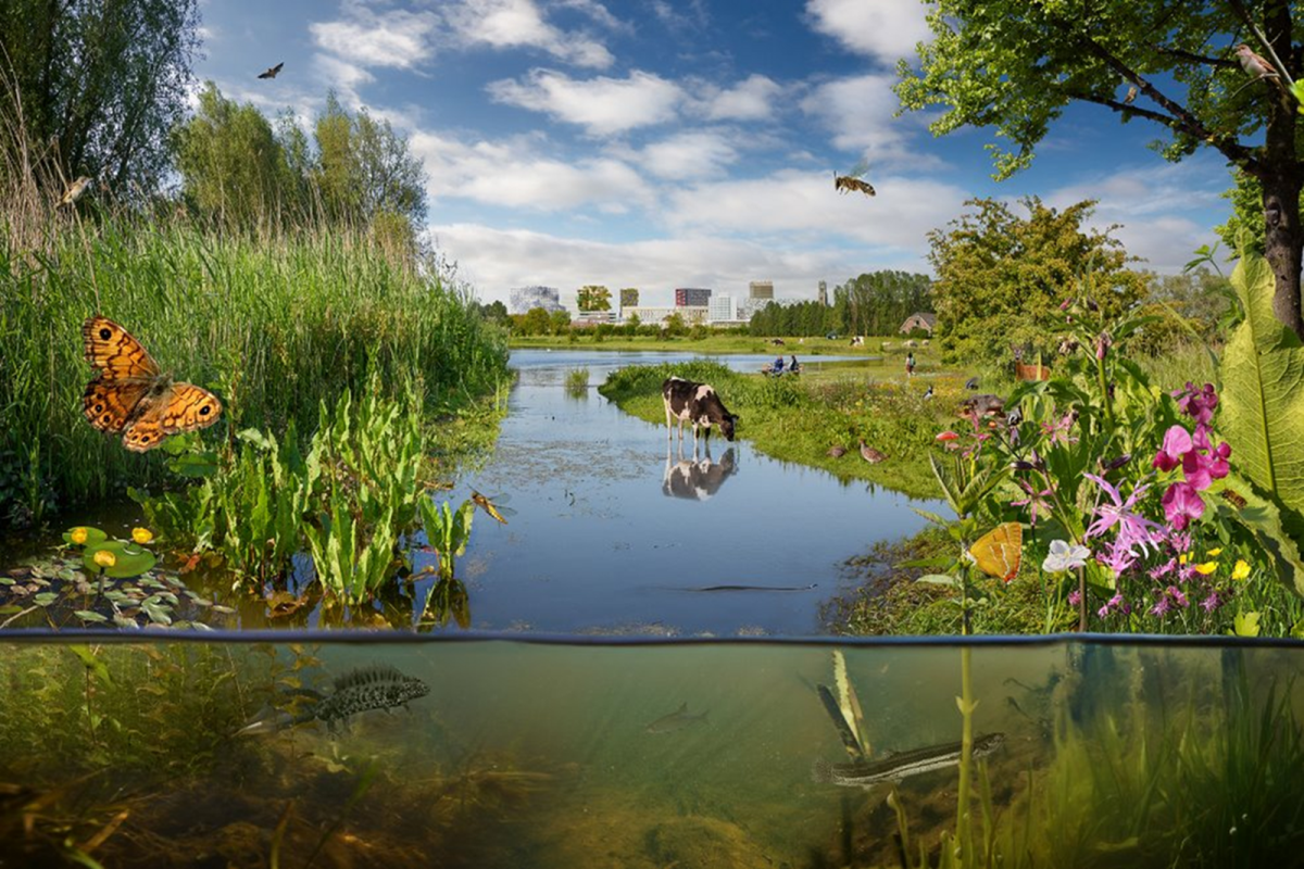 Twintig gidssoorten, beeld 2035 (foto: UU)
