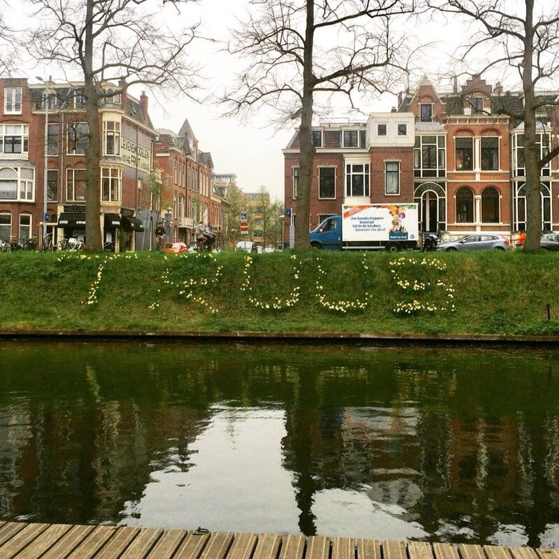 April 2018, het talud langs de Catharijesingel. Foto: Jim Terlingen