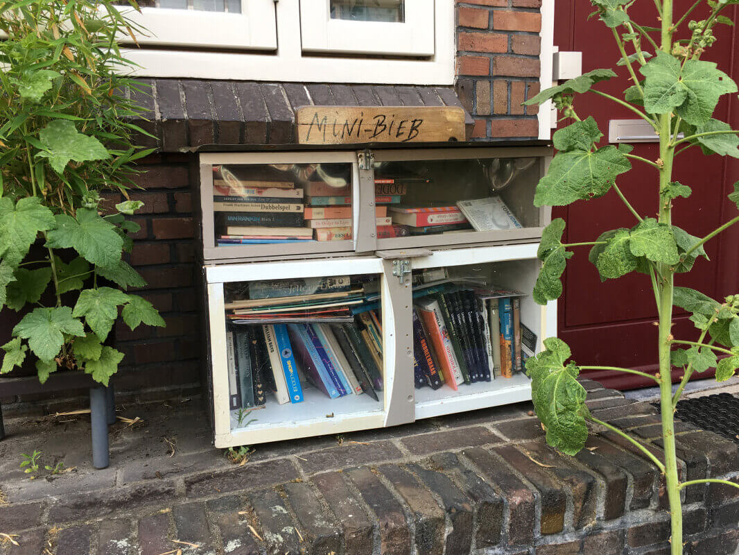 De ‘mini-bieb’ in de Van Humboldtstraat. Foto: Dik Binnendijk