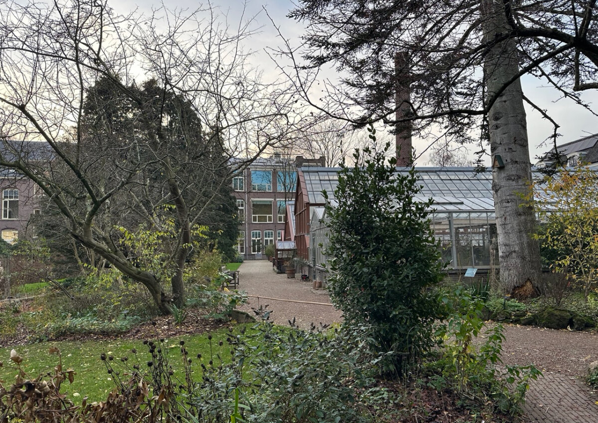 Zicht op de achterkant van het Botlab vanaf de Nieuwegracht; rechts een deel van de kassen (2025). Foto: Dik Binnendijk