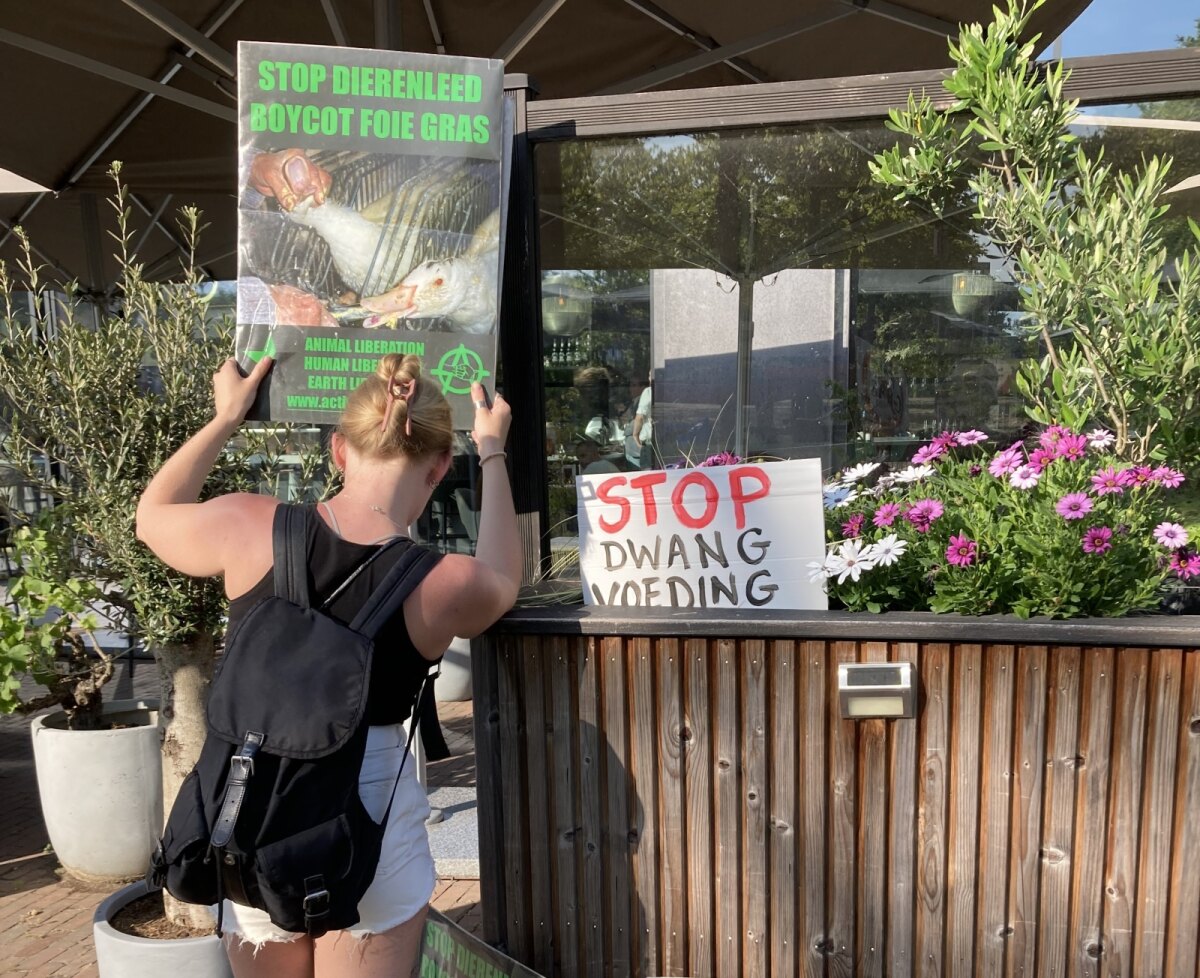 Een actievoerster laat aan de mensen in het restaurant een protestbord zien. Foto: Active for Justice