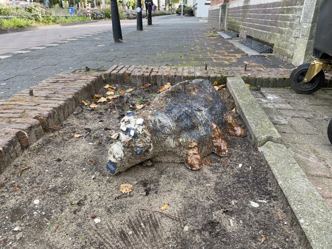 Het onbekende beest aan de Biltstraat. Foto: JT