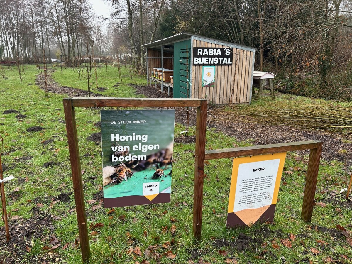 Bijenkasten op terrein bij Stekkers; Bijen voor bloeiers!