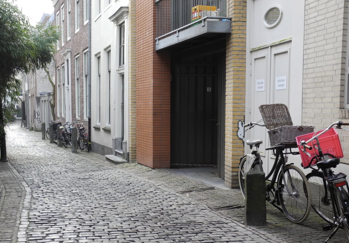 Het witte nijntje. Foto: JvW