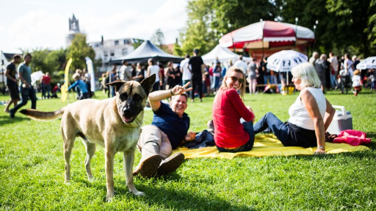 Het Lepelenburg tijdens een van de vorige Lazy Sunday Afternoons. Foto: Ron Beenen (website ZIMIHC)