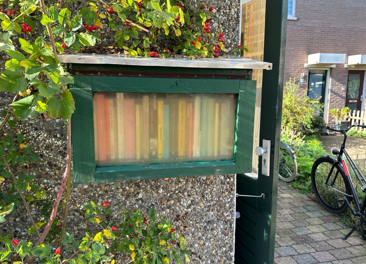 De groene minibieb bij Maskarenen 5 in Lunetten. Foto: Dik Binnendijk