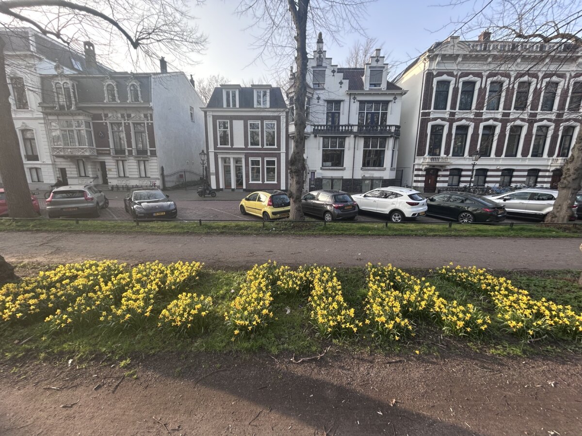Als je de camera hoog genoeg houdt, zie je 'Dr. Max'. Foto idem vandaag.