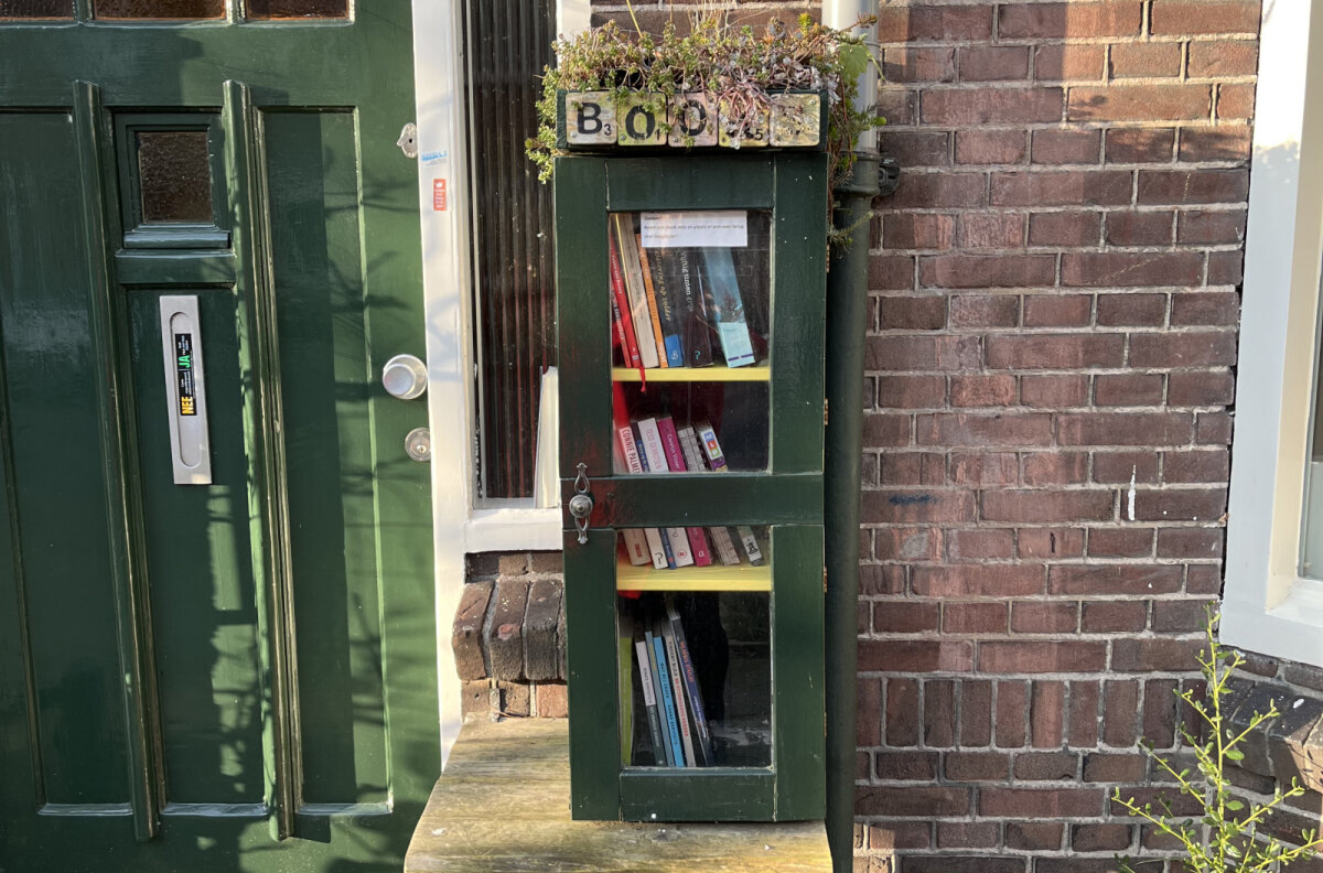 Een in schutkleur uitgevoerd kastje in de Pieter Nieuwlandstraat. Foto: EvA