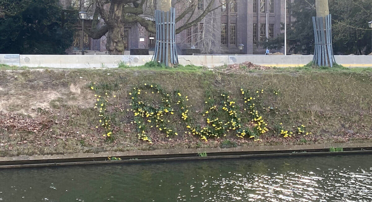 Een niet zo gelukte aubade aan Truus van Lier, opname 3 april 2022. Foto: JT