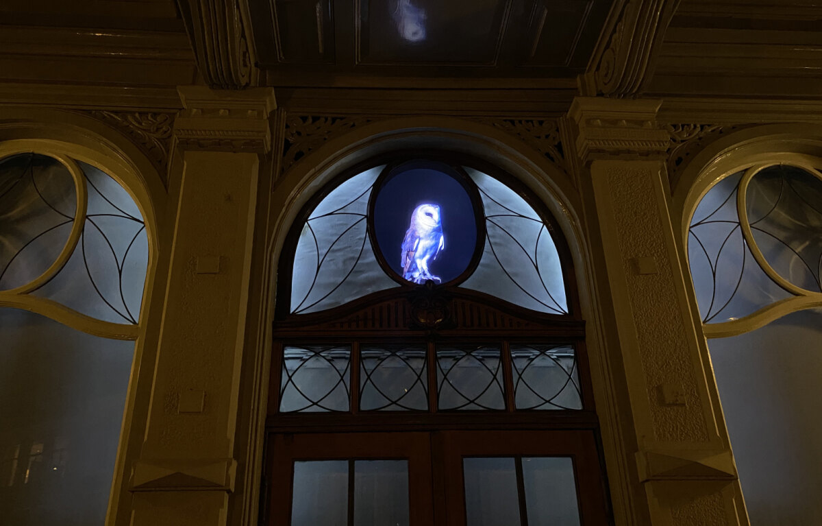 De bewegende uil, een lichtkunstwerk, maakt al twaalf jaar onderdeel uit van Trajectum Lumen. Foto: JT