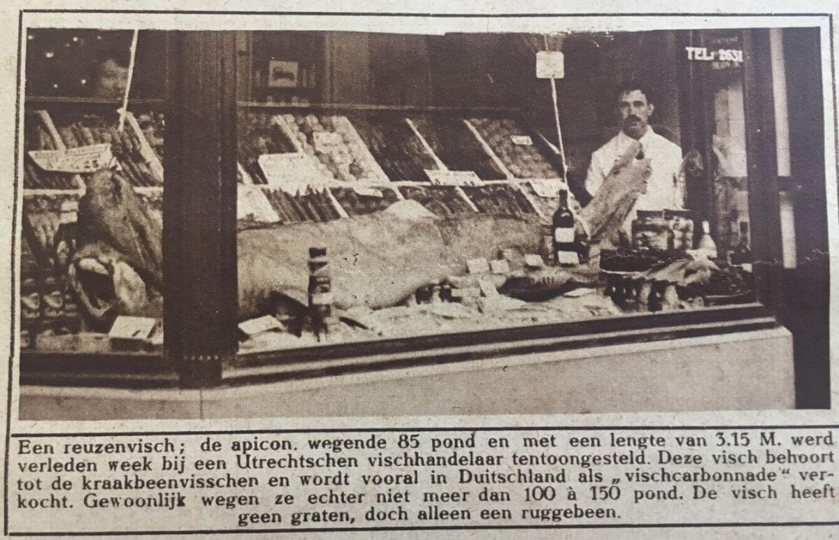 Foto: Utrecht in Woord en Beeld, 1926