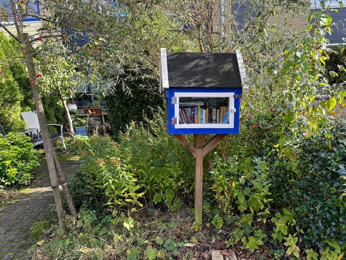 De minibieb bij Westfalen 58 in Lunetten. Foto: Dik Binnendijk