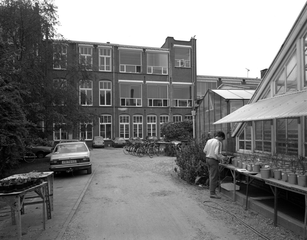 Zicht op de achterkant van het Botlab vanaf de Nieuwegracht; rechts een deel van de kassen (1984). Foto: HUA