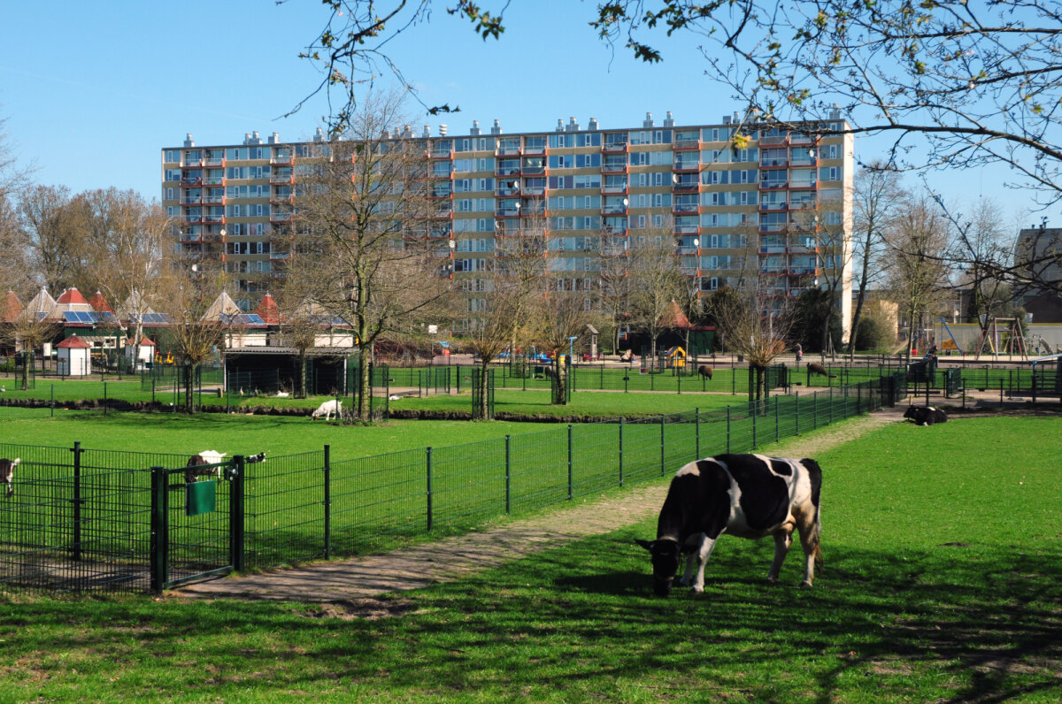 Kinderboerderij in het Park De Gagel, met op de achtergrond het flatgebouw aan de Bangkokdreef. Foto: Het Utrechts Archief