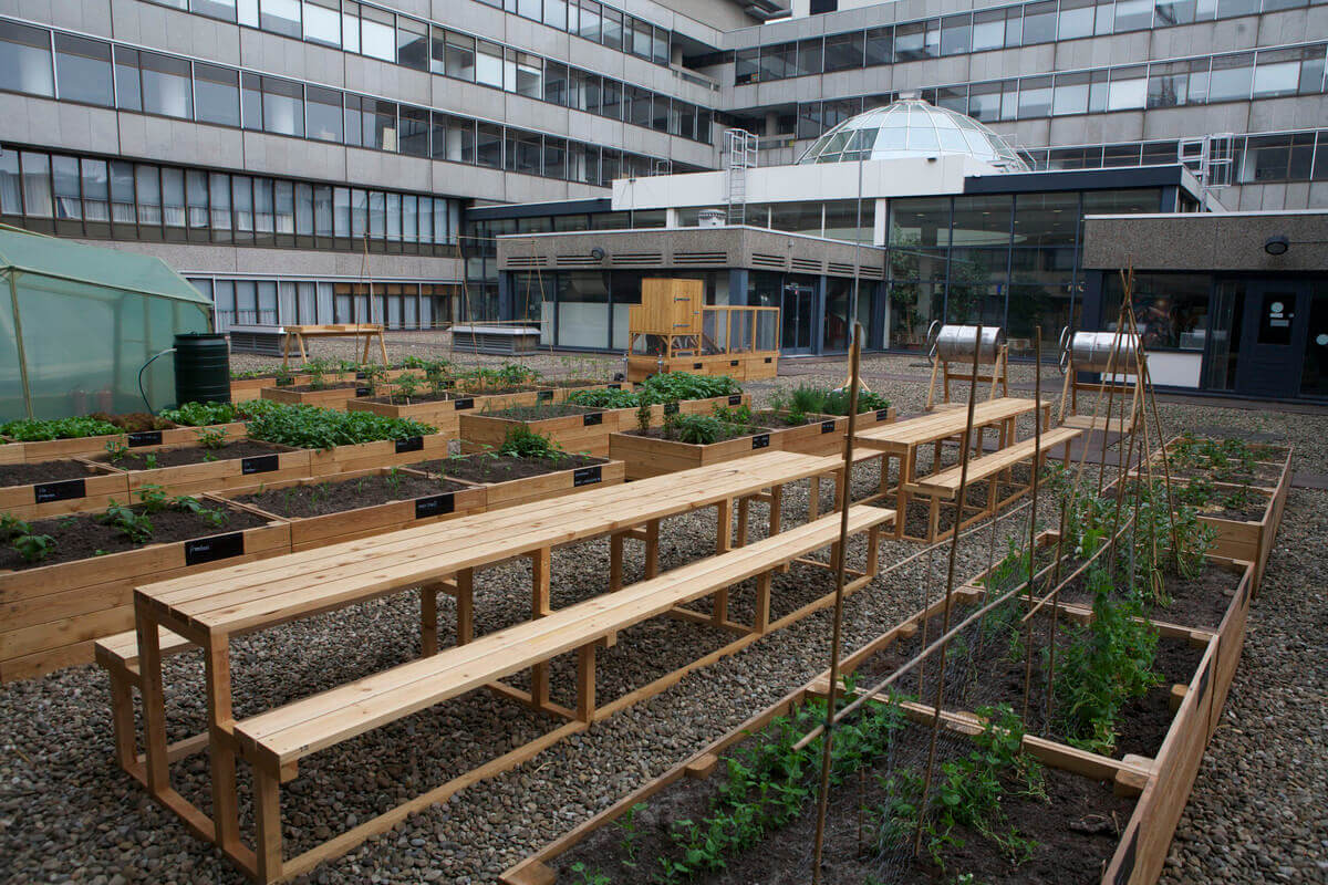 Het tuindak, de Tuinfabriek, bovenop Hoog Catharijne in 2013. Foto's Ton van den Berg