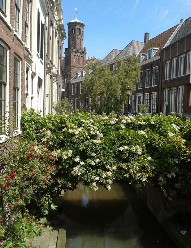 De Kromme-Nieuwegracht. Foto: V. Oldenborg