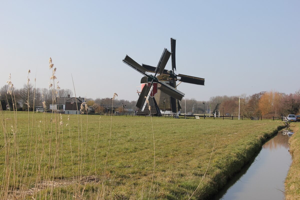 De molens in de polder Buitenweg. Foto: W. Geijssen