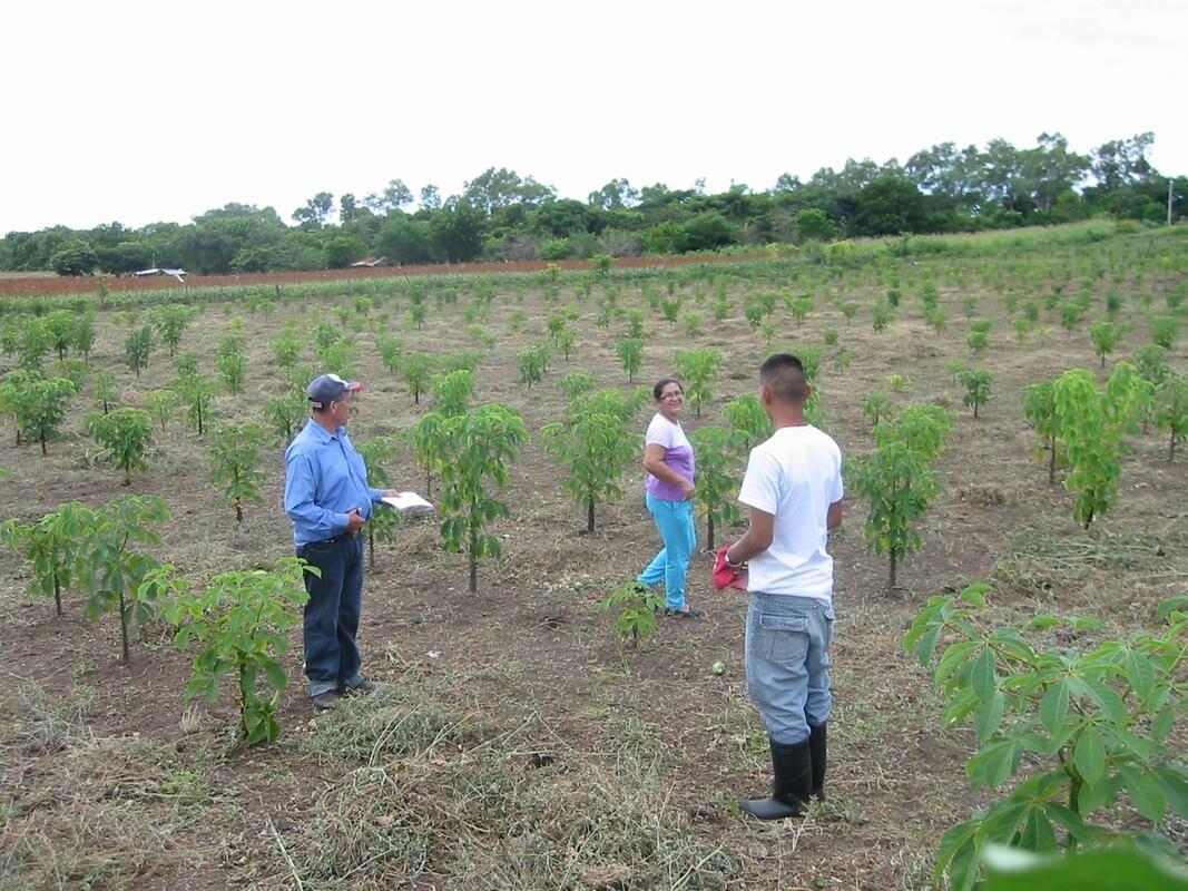 Aanleg van een stuk klimaatbos met midden landbouwer mevrouw Salgado Morena. Foto: Vriendschapsband