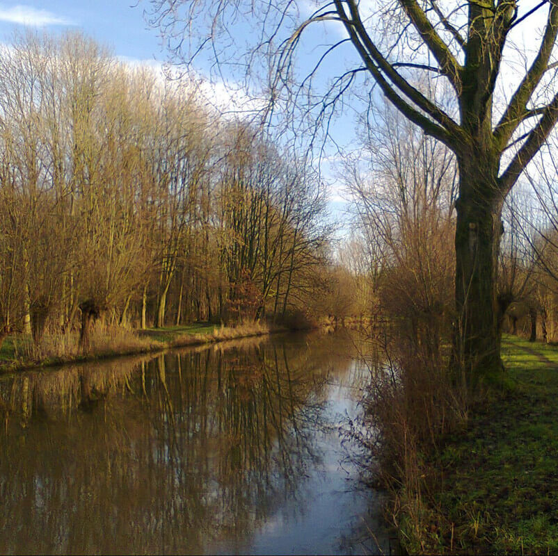Een spiegelend stroompje in Park Bloeyendaal. Foto: Vincent Oldenborg