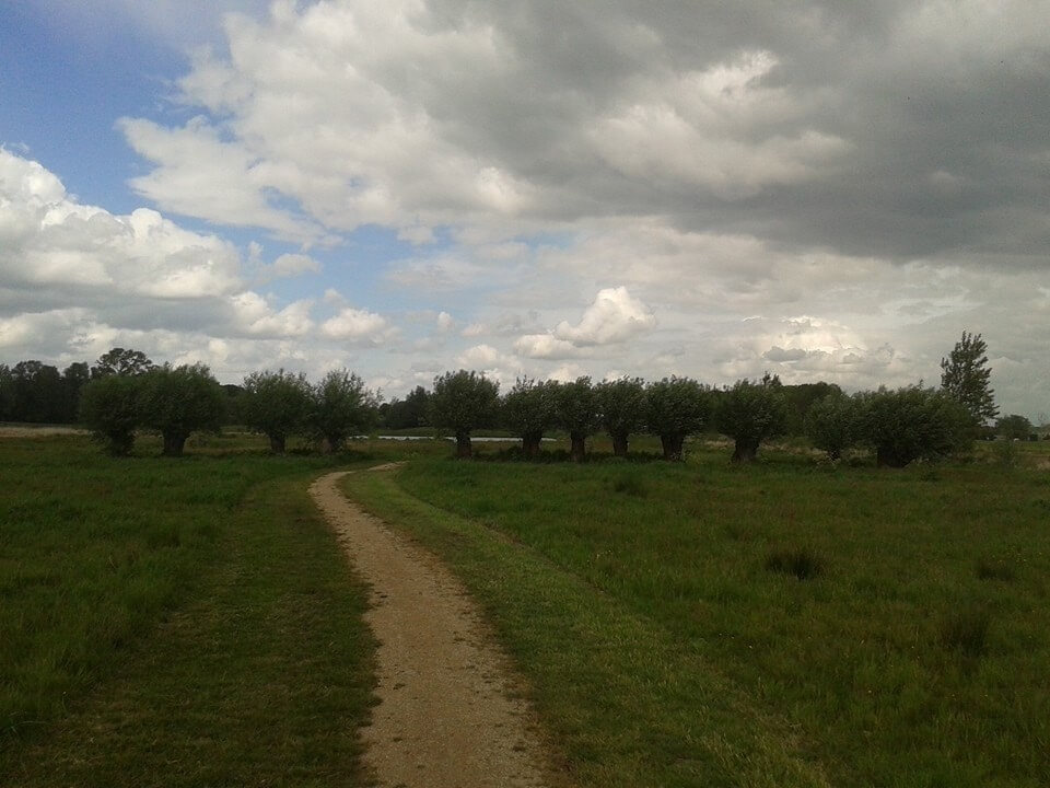 Wandelpad in het Noorderpark. Foto: V. Oldenborg
