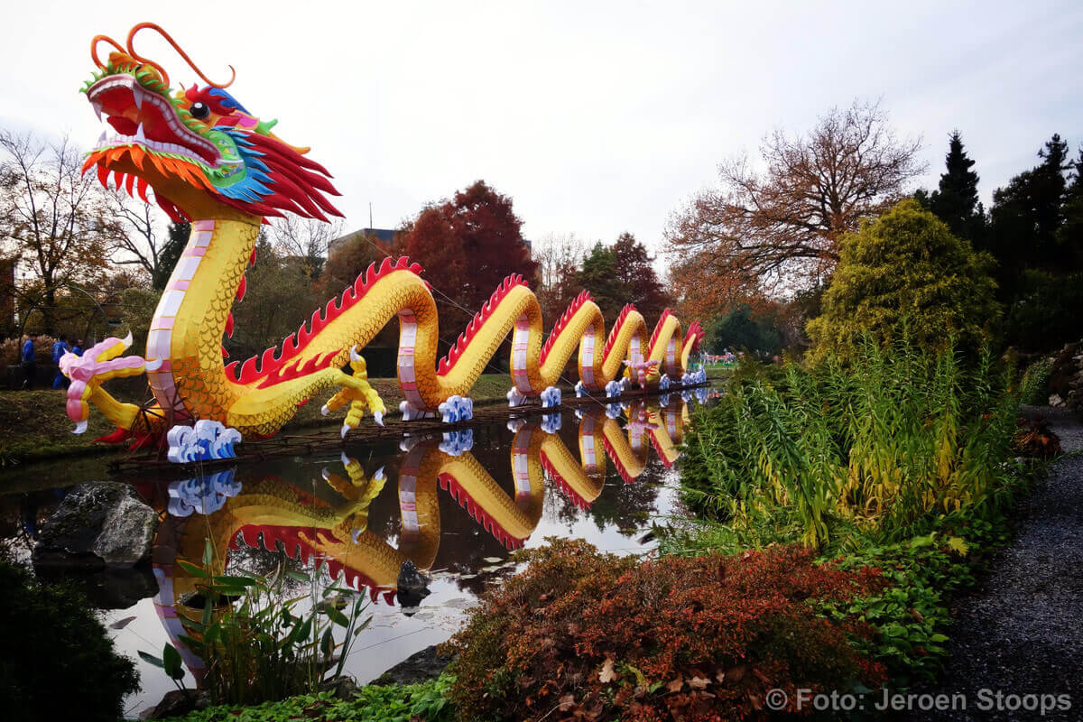 Draken ontbreken niet in China Light Utrecht. Foto: Jeroen Stoops