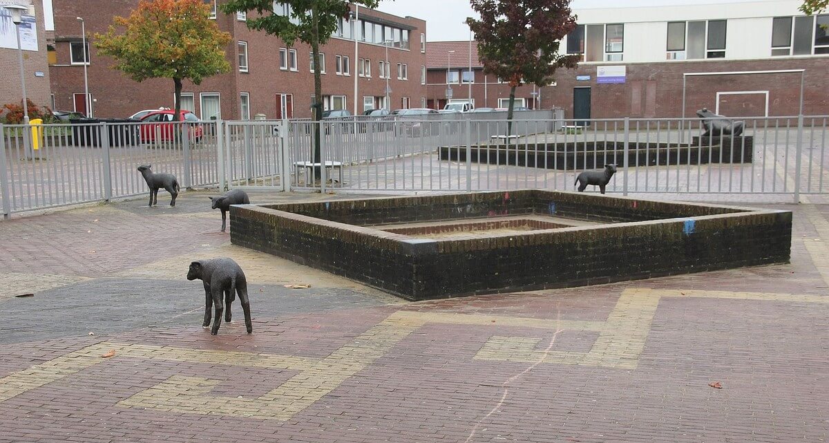 Enkele lammetjes rond de zandbak. Foto: W. Geijssen
