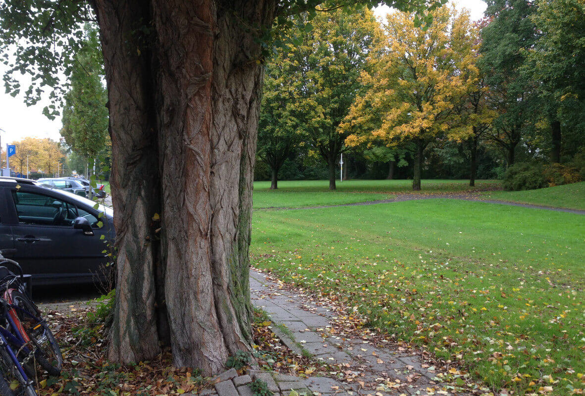Het Cremerpark in Nieuw-Engeland. Foto: Z. Eijzenbach