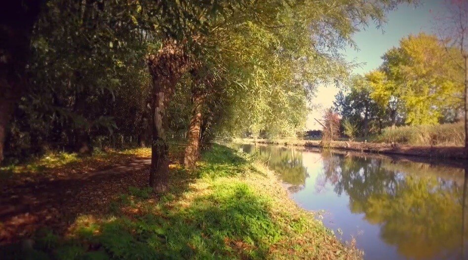 De Kromme Rijn in Amelisweerd, een beeld uit de videofilm van Martijn Schroevers