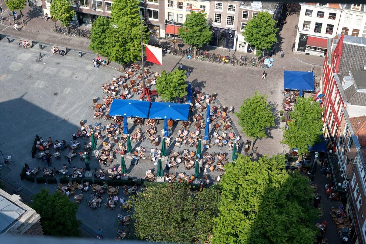 Bomen bepalen mede het beeld van de stad. Foto: Ton van den Berg