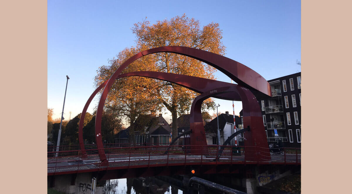 Wie zong ook alweer 'Vandaag is rood'? Dit is maandagochtend. Foto: Pascalle Thijs